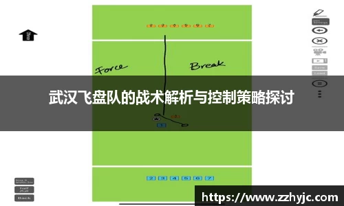 武汉飞盘队的战术解析与控制策略探讨
